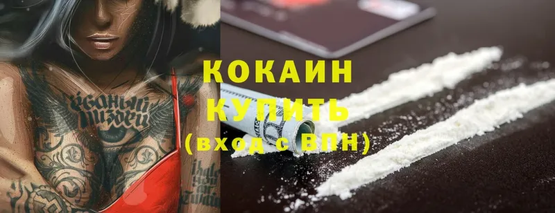 Cocaine FishScale  магазин    Кедровый 