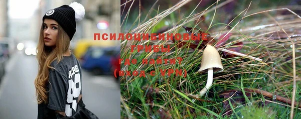 трава Новокубанск
