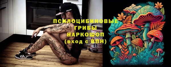 спайс Новодвинск