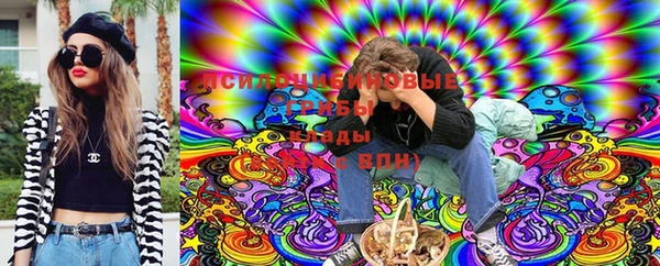 трава Новокубанск