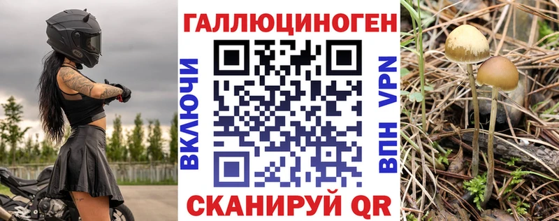 Галлюциногенные грибы Psilocybine cubensis  Кедровый 